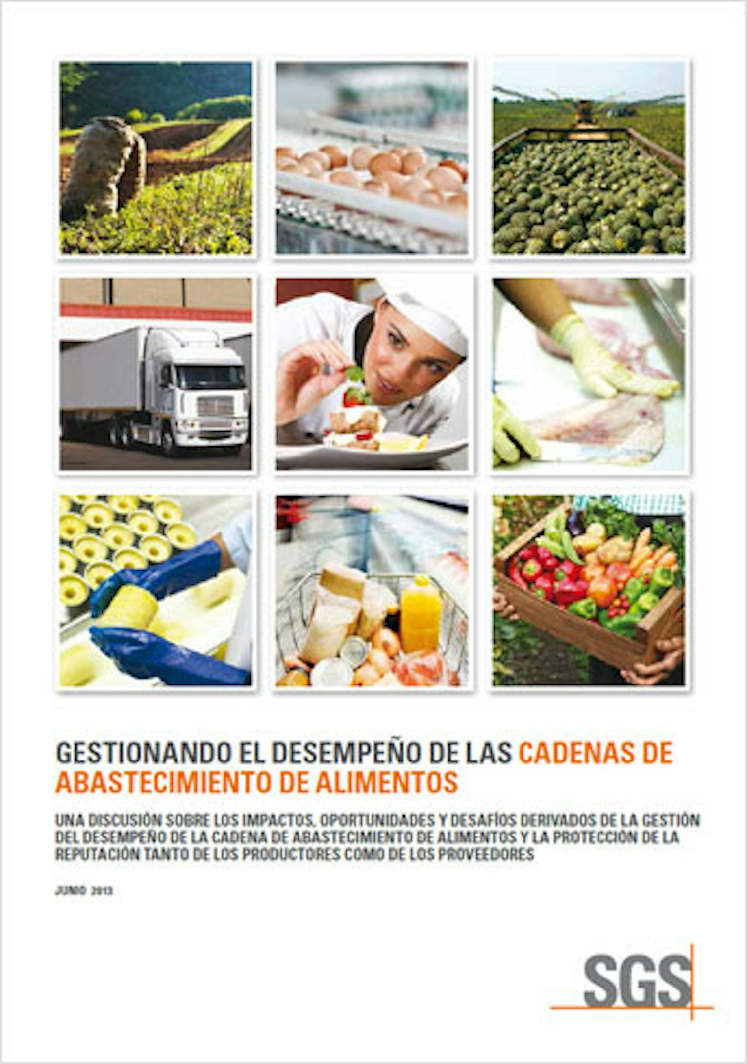 344 x 490 Food Supply Chain ES