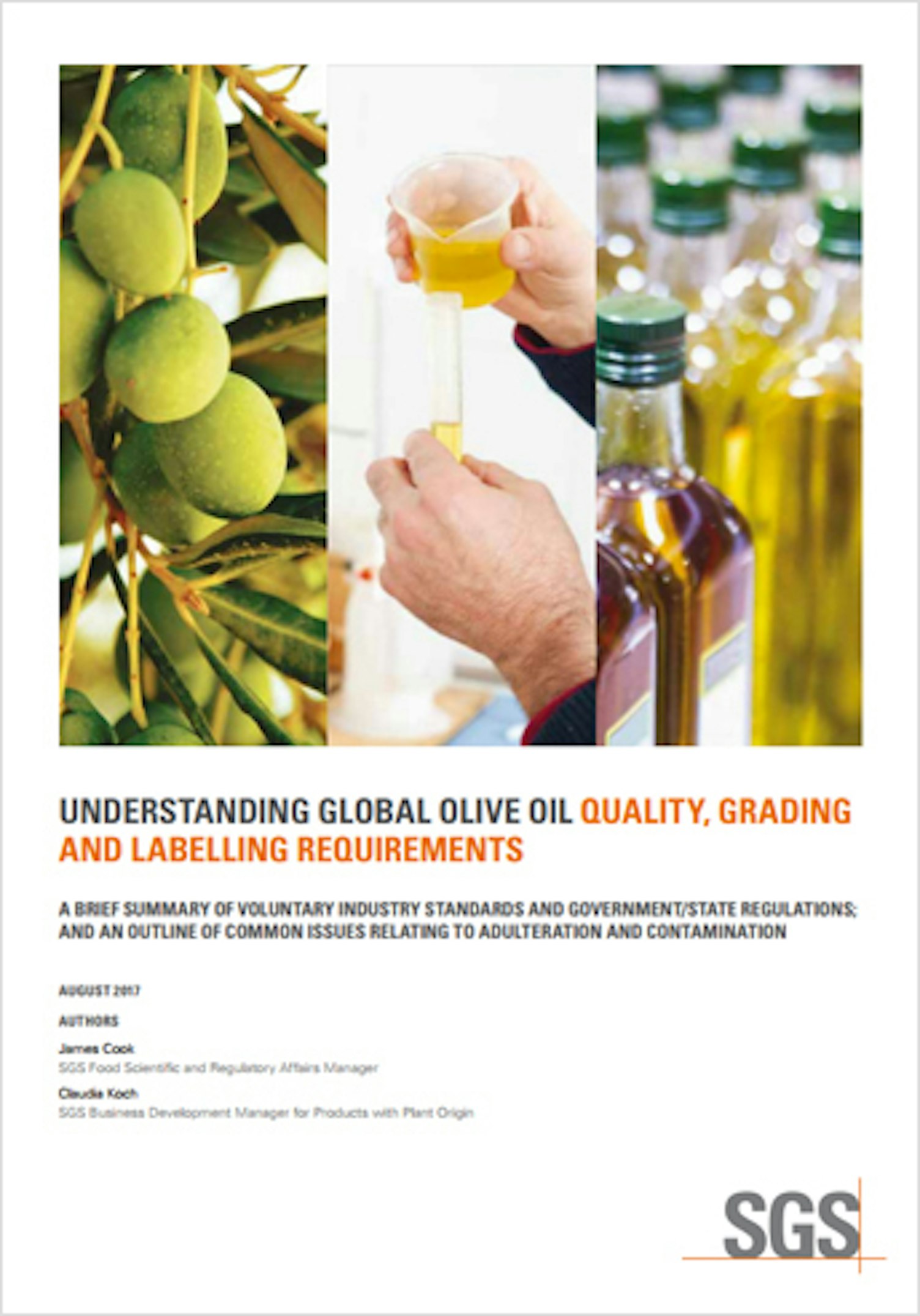 Understanding Global Olive Oil