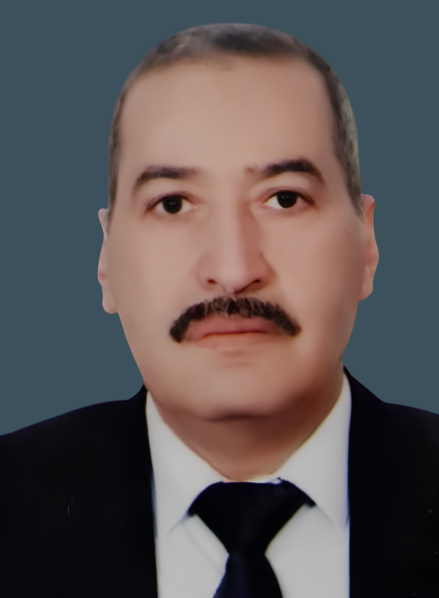 mohamed mansour