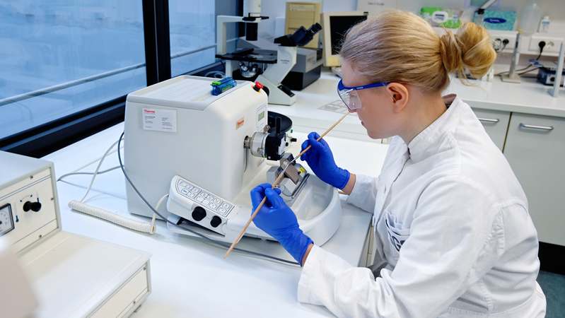 Как получить сертификат и декларацию соответствия, а также свидетельство о государственной регистрации для реализации продукции в ЕАЭС