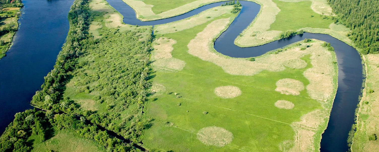 Aerial View of a River