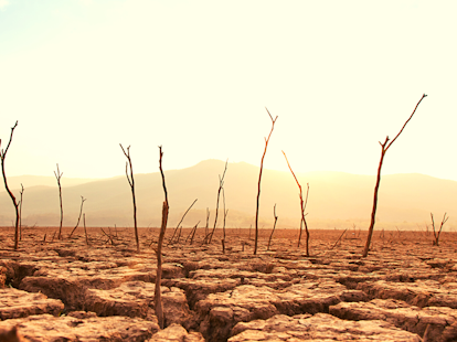 Drought Stricken Land