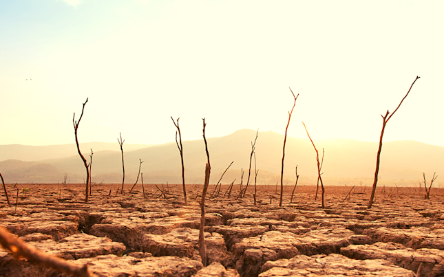 Drought Stricken Land