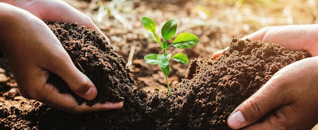 Sustainability and Ecology Concept