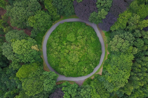 traffic circle in a forest