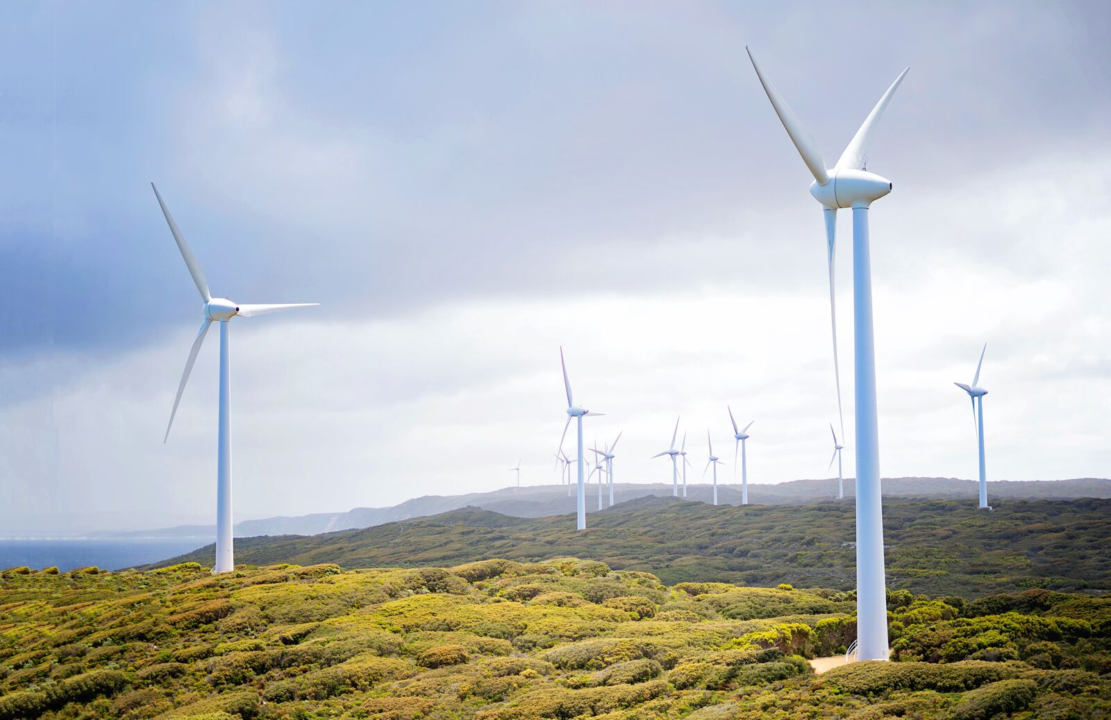 Wind Turbines Farm
