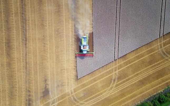 сельскохозяйственные товары