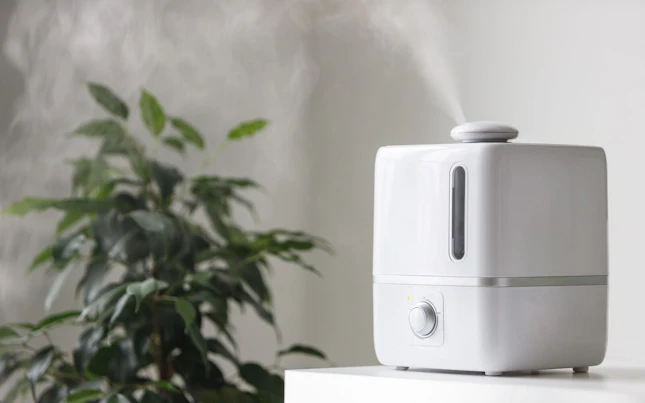 Aerial View of the Coast