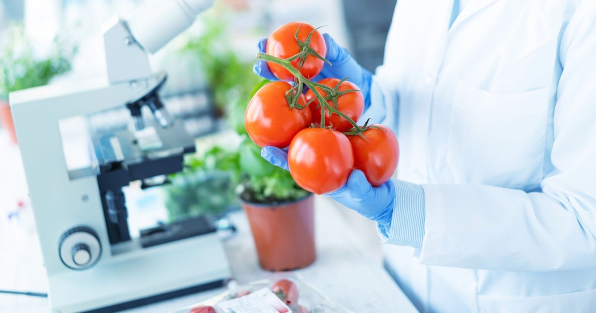 SQF Certification in India Food Safety Quality SGS India SQF Certification in India Food Safety Quality SGS India