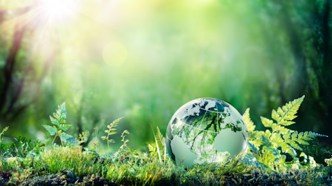 Business Sustainability