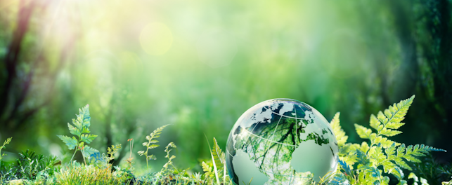 Business Sustainability