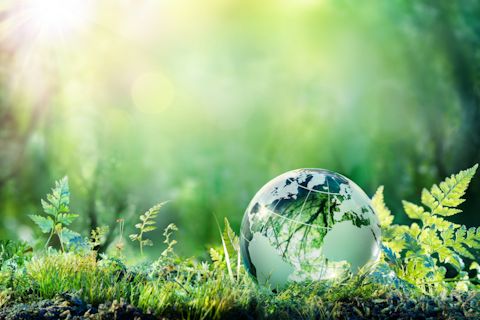 Business Sustainability