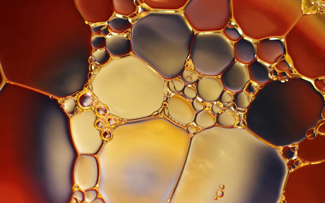 Cars on Motorway Digital Concept