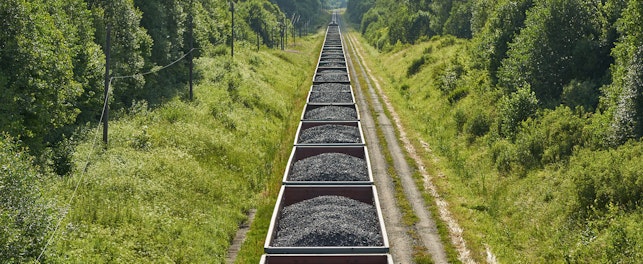 Coal Coke and Petroleum Coke