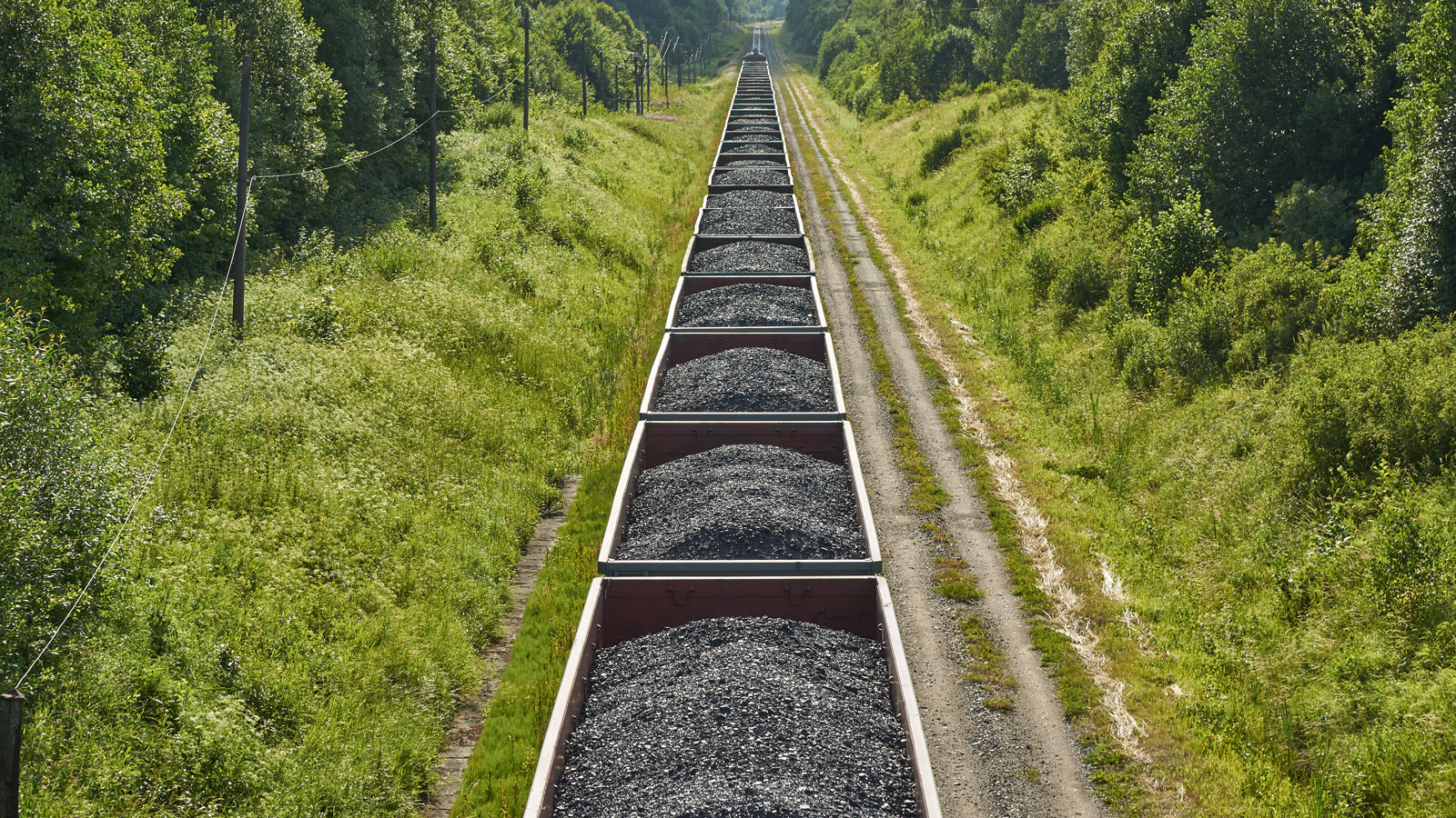 Coal Coke and Petroleum Coke