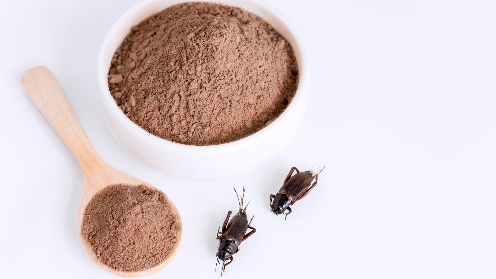 Cricket Flour 1600px