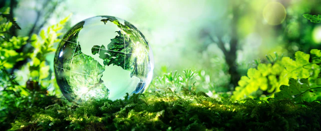 Crystal globe resting on moss
