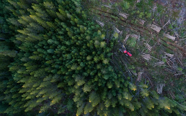 Agent sur le terrain inspectant la suspension du pont
