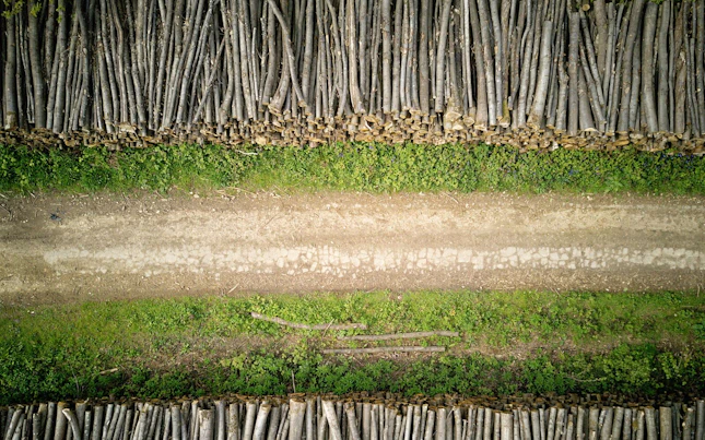 Estelas de luz en la ciudad por la noche