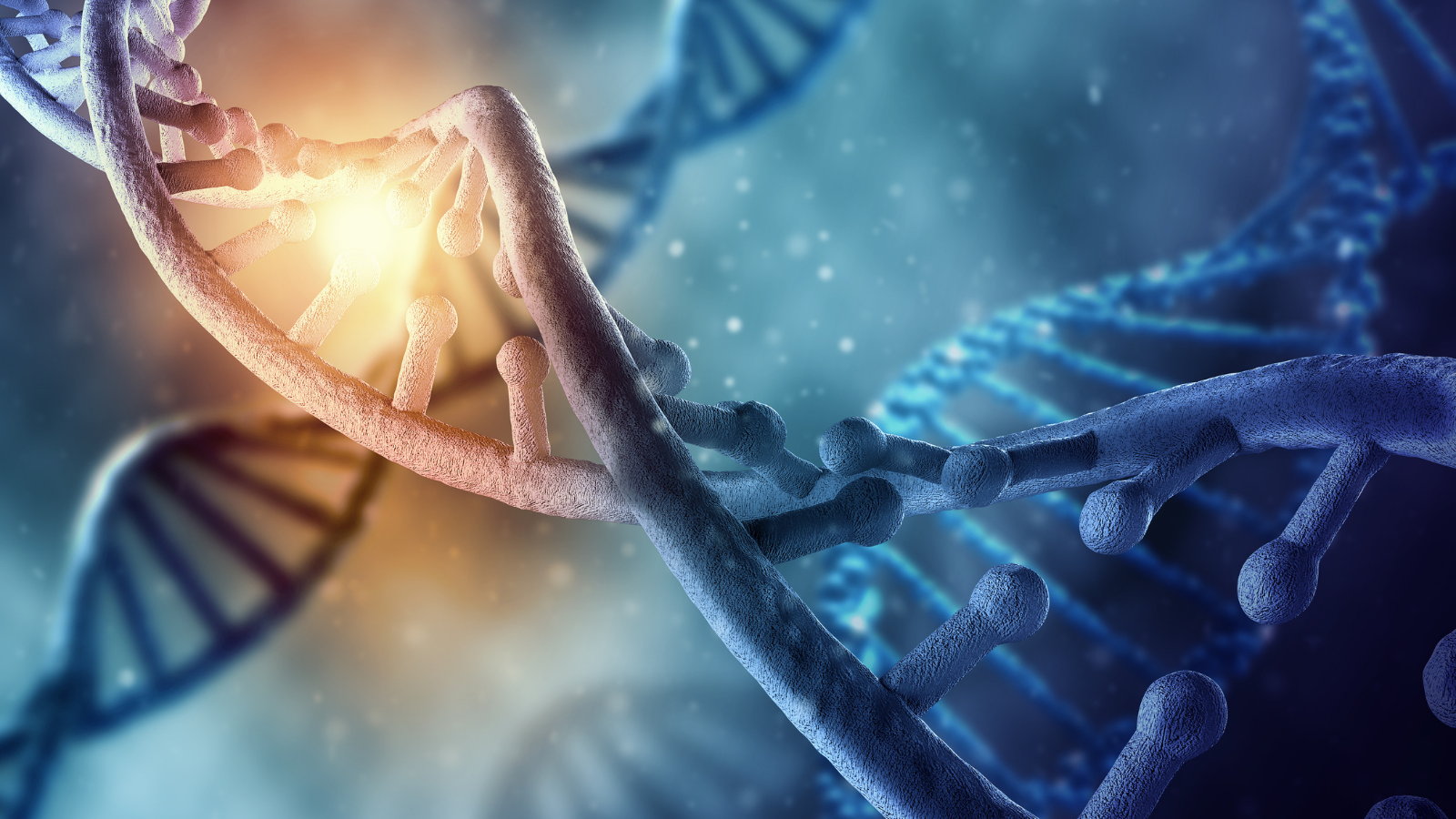 DNA