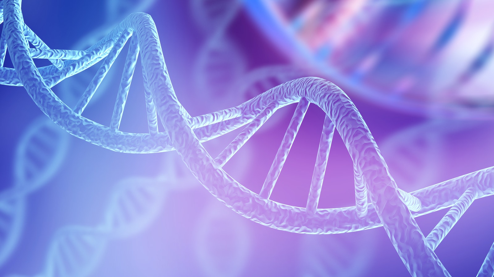 DNA Helix