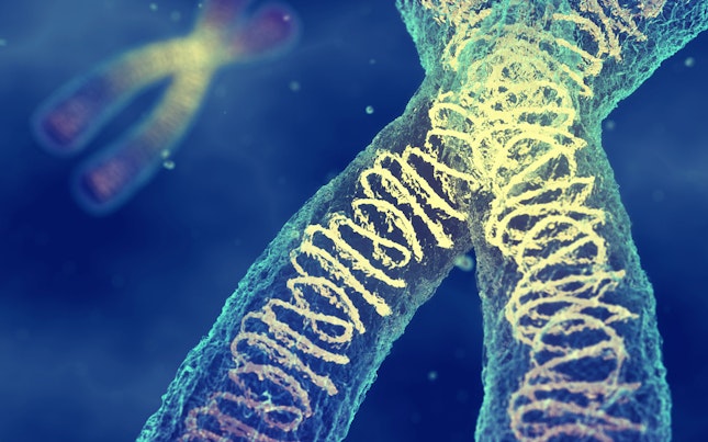 DNA modules carrying genetics