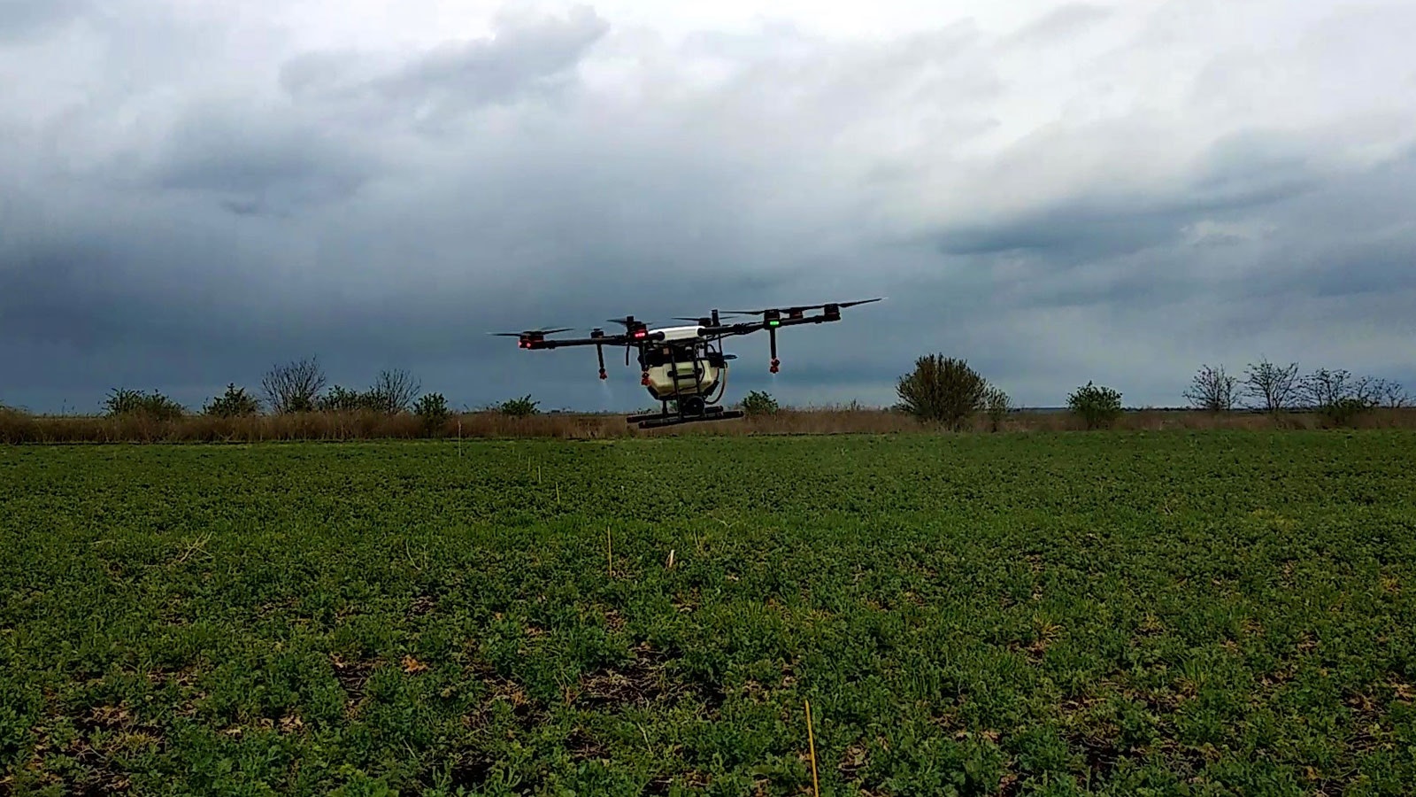 Drone