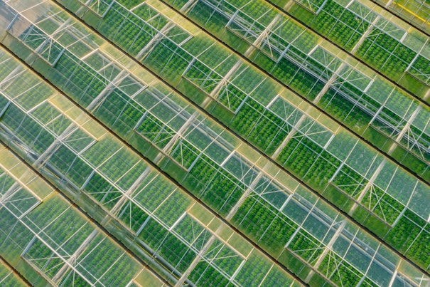 Windkraftanlagen auf dem Gipfel eines Gebirges