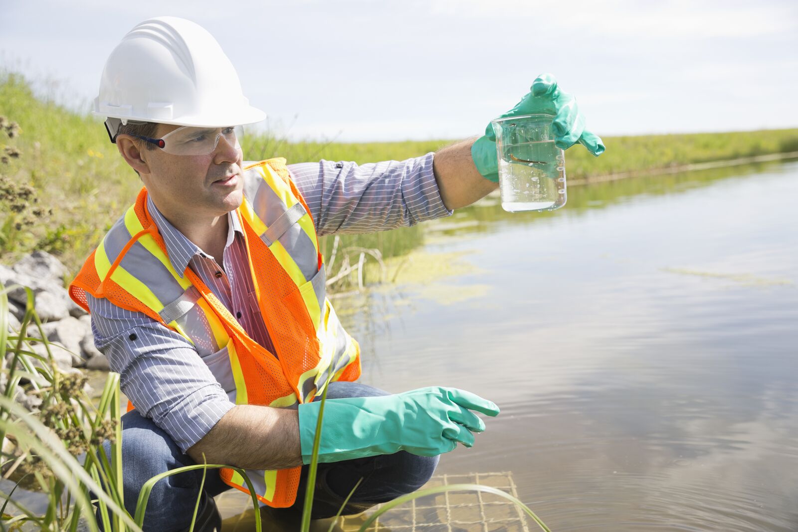 Environmental Scientist Examining Water Sample
