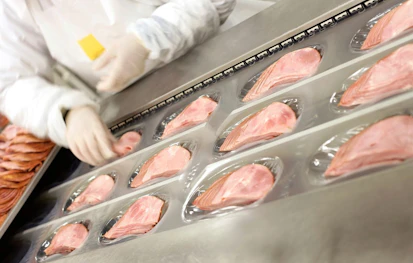 Food Factory Meat Production Line A factory worker ensuring the placement of the fresh ham on the conveyor belt.