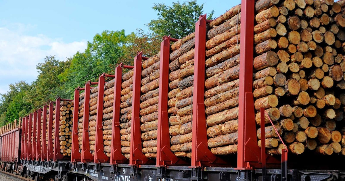 Forest Products | SGS Indonesia