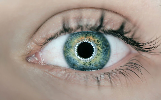 Contaminante en bruto