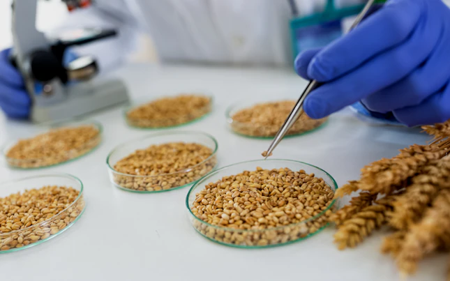 Tests des produits agricoles