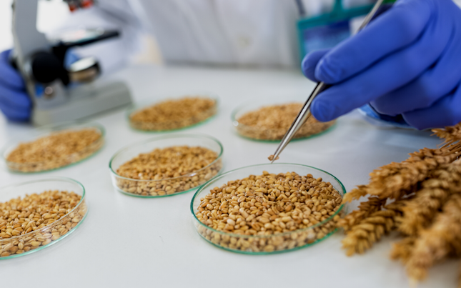 Testarea produselor agricole