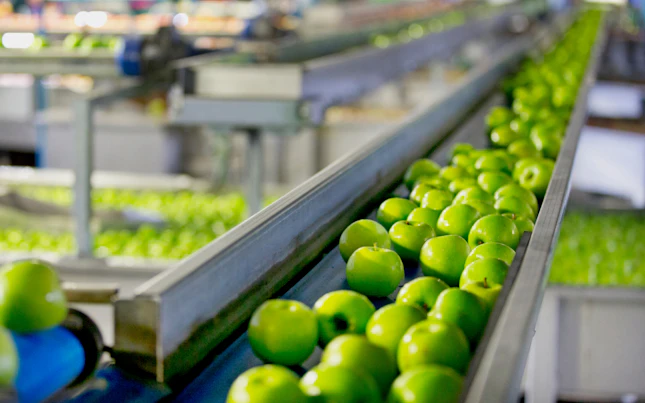 Manzanas en una fábrica