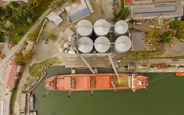 Grains Feeds and Oilseeds