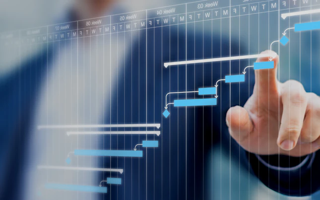 Diagrama de management al proiectului
