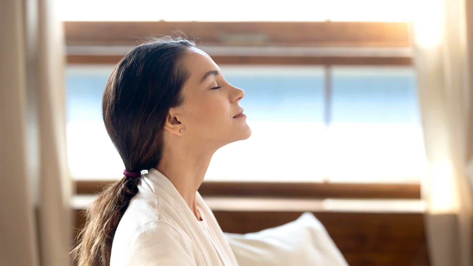 มุมมองทางอากาศของชายฝั่ง