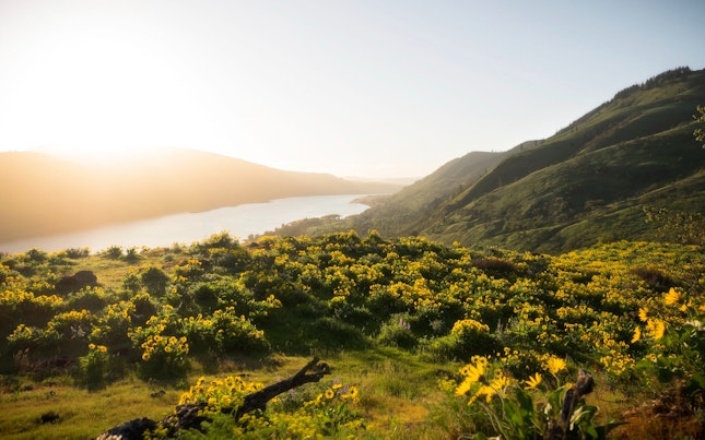 ภูมิทัศน์เมืองในเวลากลางคืน