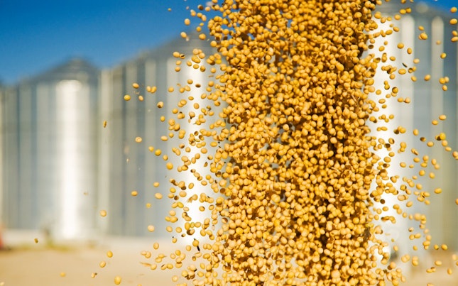 Loading Soybeans from Grain Storage Bins