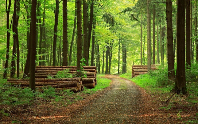 Light Trails in the City at Night
