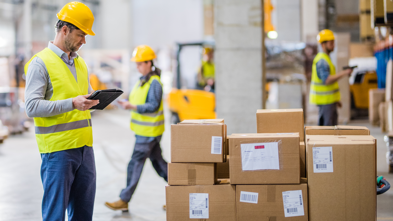 Man in Safety Vest Checking Boxes