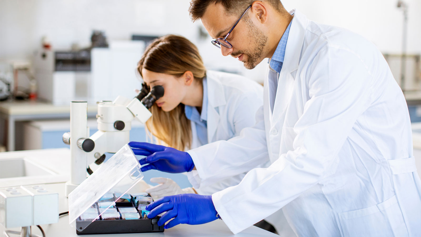 Mineral and Metal Testing