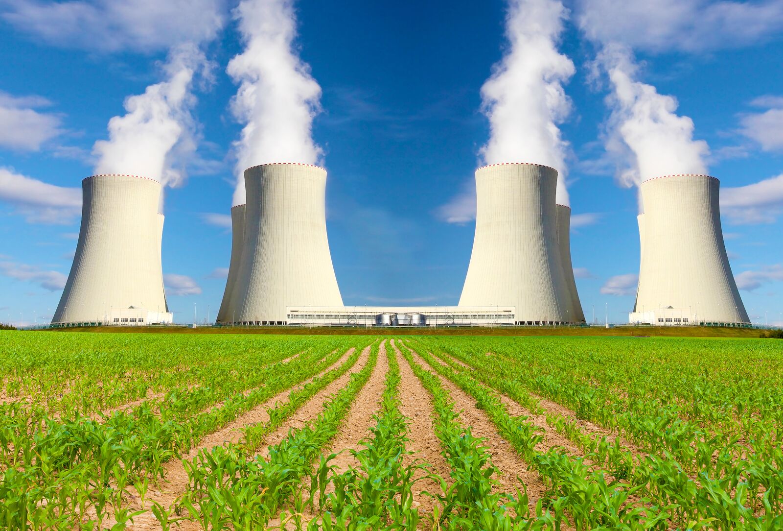 Nuclear Power Plant