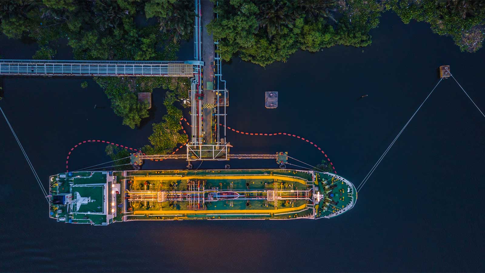 Inspeção de mercadorias OGC