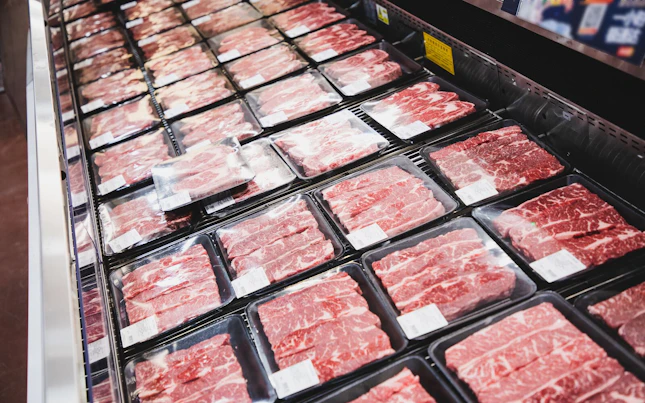 Mikroben in einer Testglasplatte