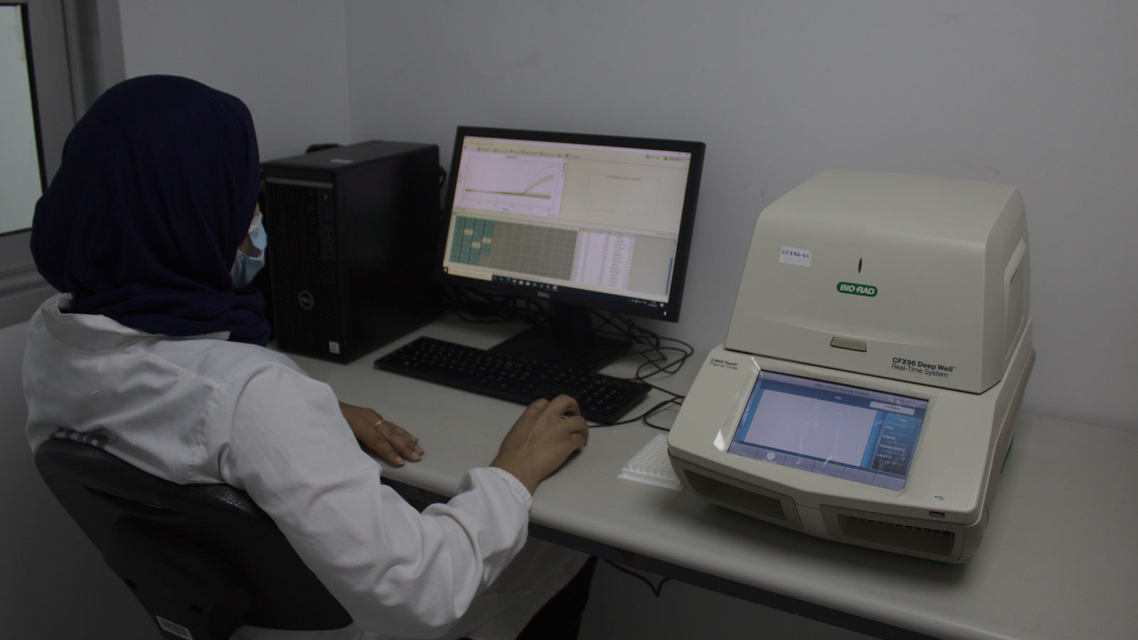PCR
