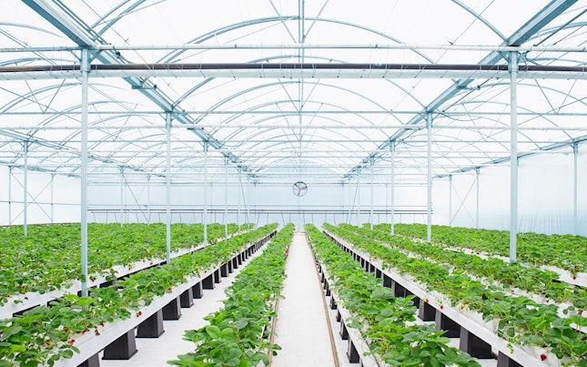 Vista aérea de la costa