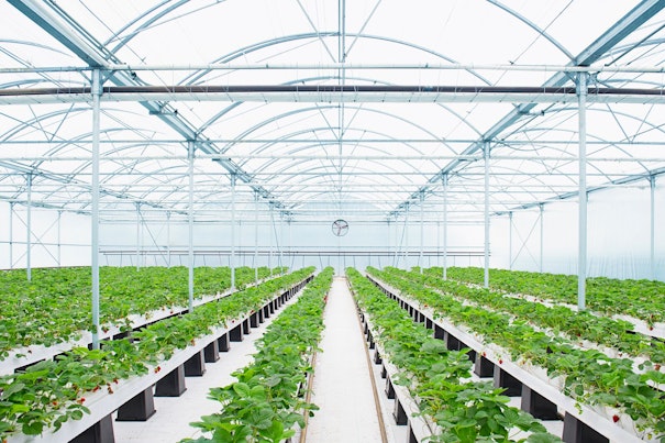 Vista aérea de la costa