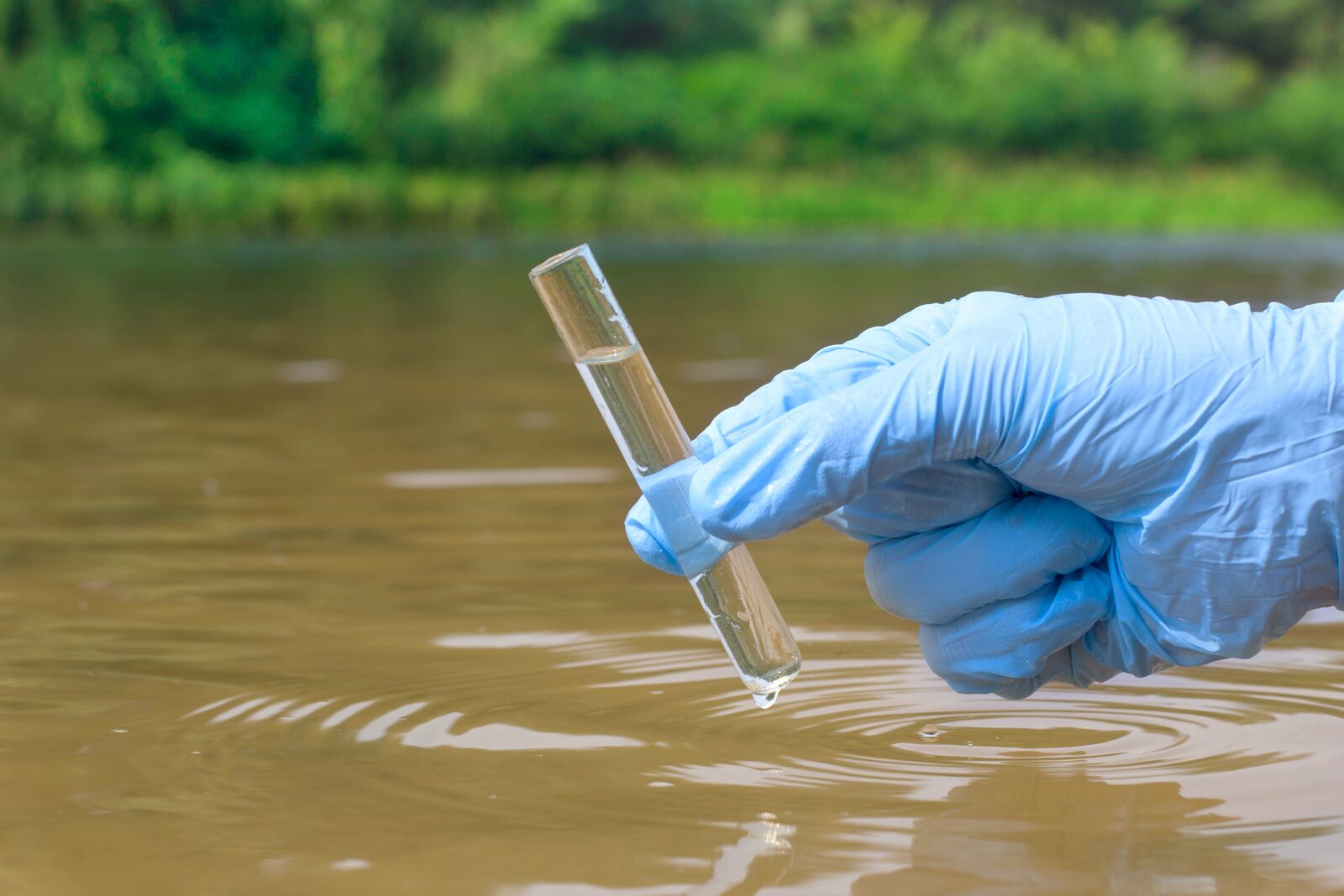 Sample Water from a River  Taken for Analysis